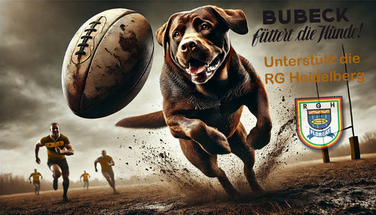 Rugby und Gin warum auch Bubeck auch den Sport unterstütz