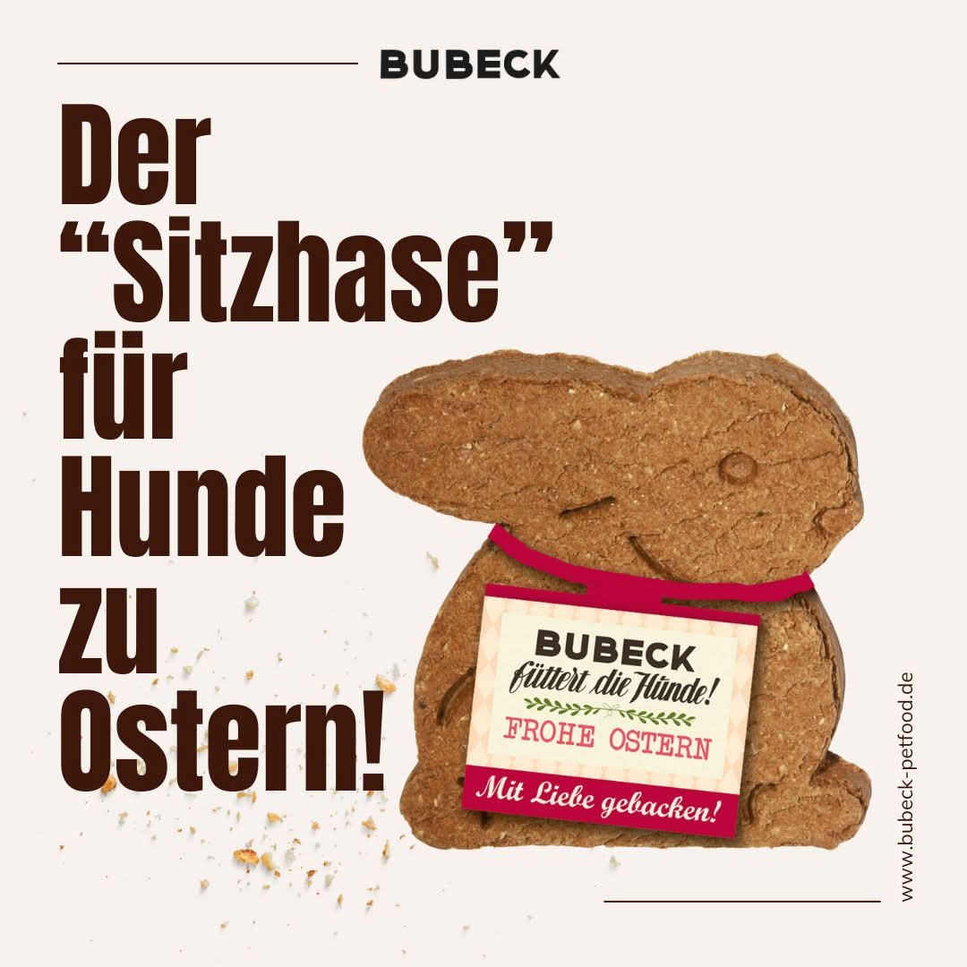 Bild zur Diskussion über den Sitzhasen oder Osterhasen. Bubeck und der Seeräuber haben eine klare Haltung.