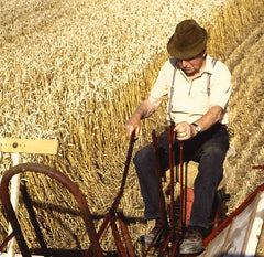 Die Weisheit meines Großvaters