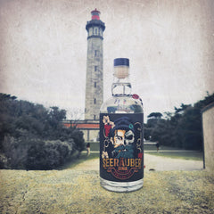 Der Leuchtturm im Leben