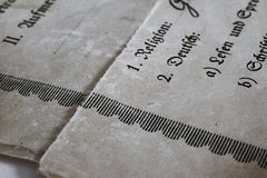 Die Kunst der Wertschätzung: Zeugnisse, Noten und die Vielfalt des Lebens